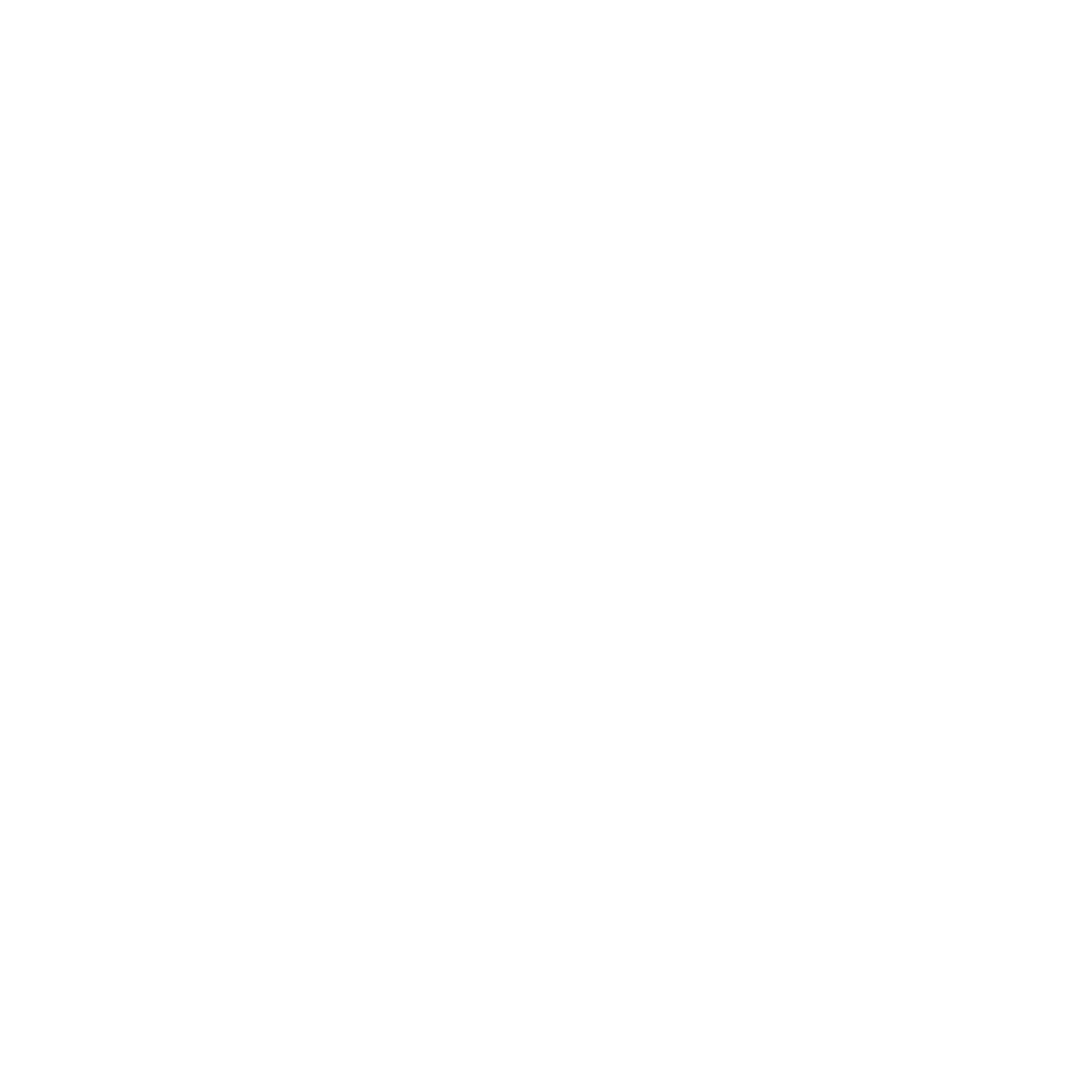 SUPER LOSAS