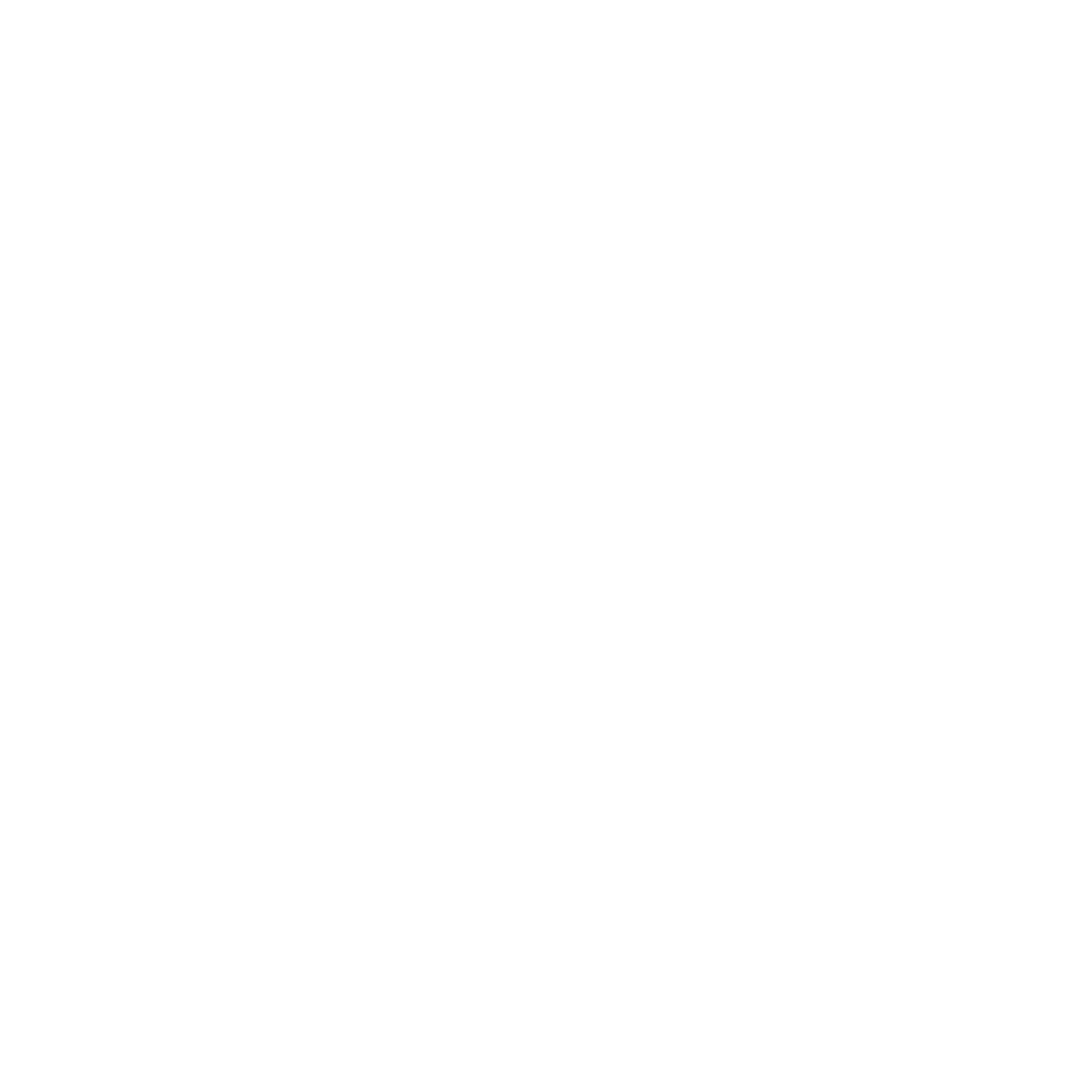SANIT
